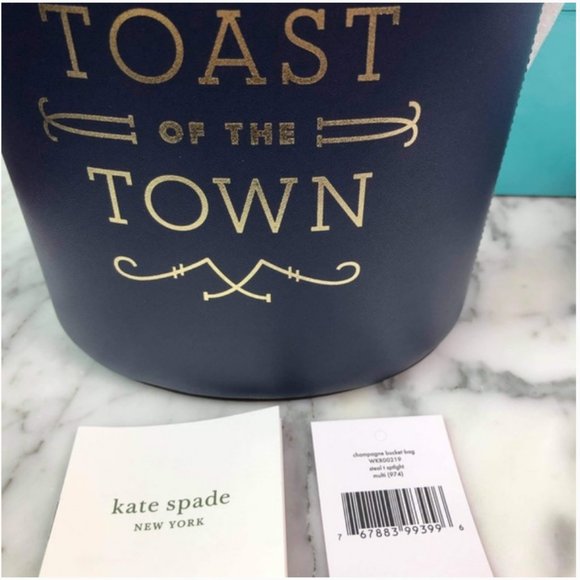kate spade steal the spotlight champagne bucket bag purse nwt - Picture 10 of 12